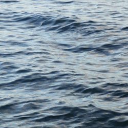 どうやったらええねん⁇淀シーHelp me‼